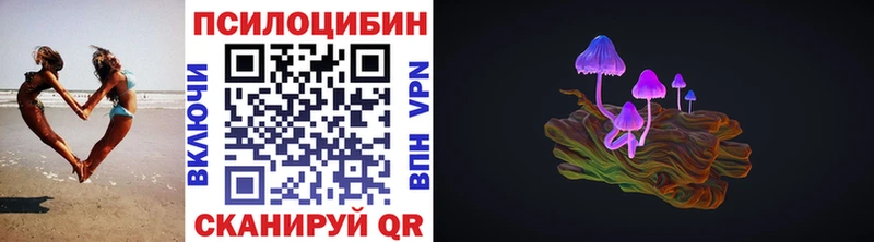купить закладку  Алапаевск  Псилоцибиновые грибы прущие грибы 